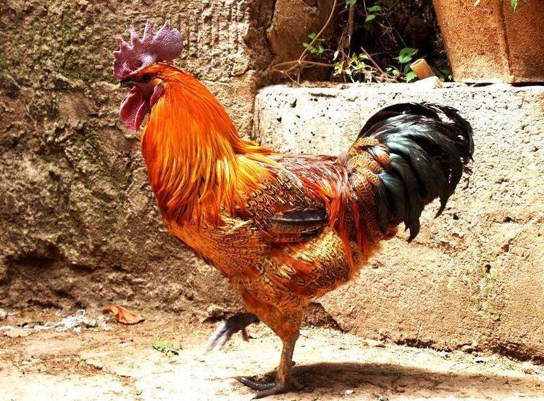 360截图20200830092149921