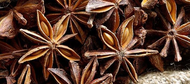 360截图20200831150543242