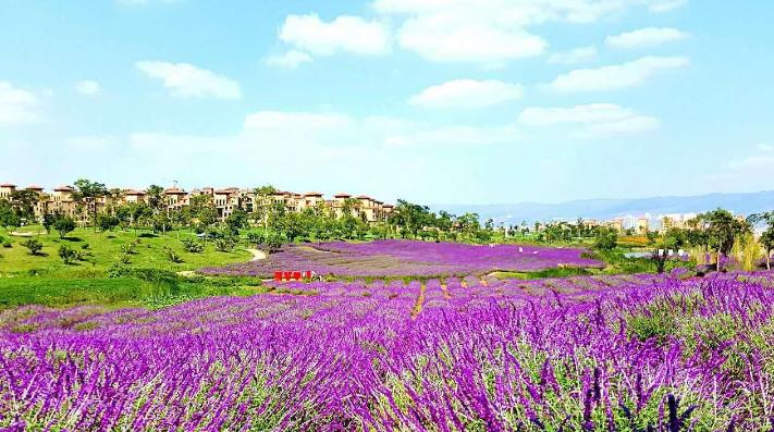 360截图20201024152612625