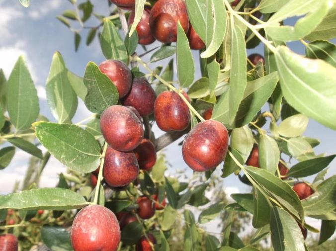 360截图20210407085652029