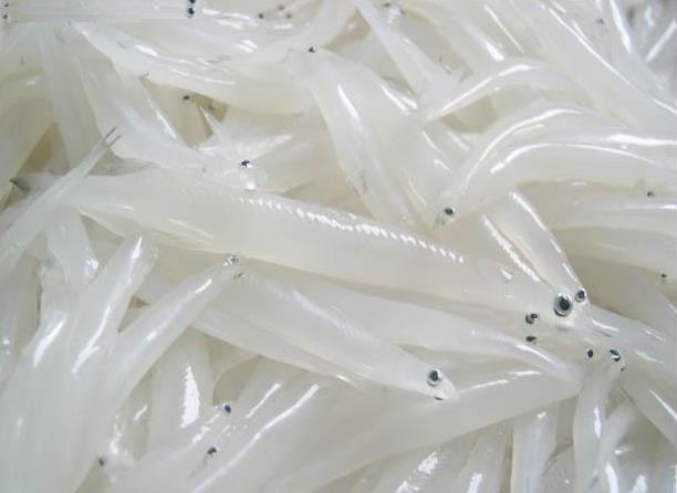 360截图20210426084418512