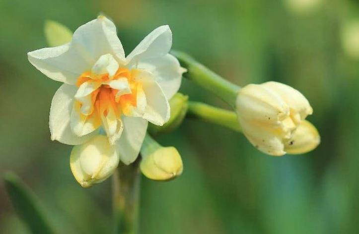 360截图20210428090728297