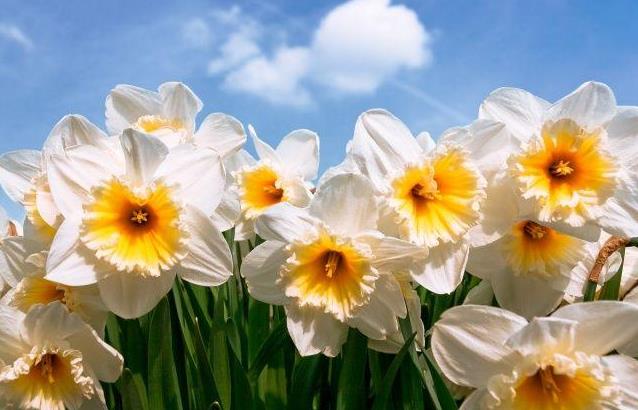 360截图20210428090738952