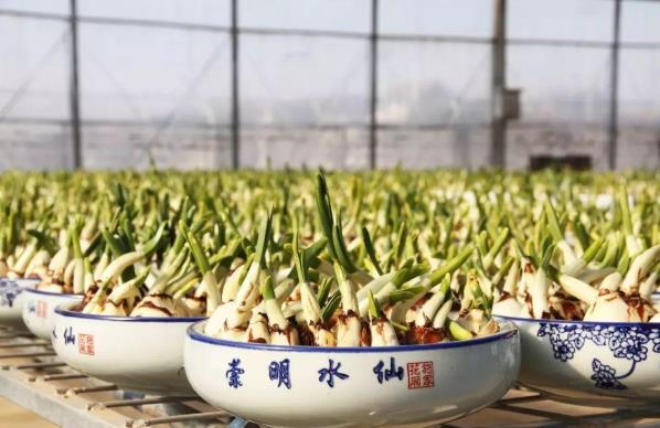 360截图20210428090719161