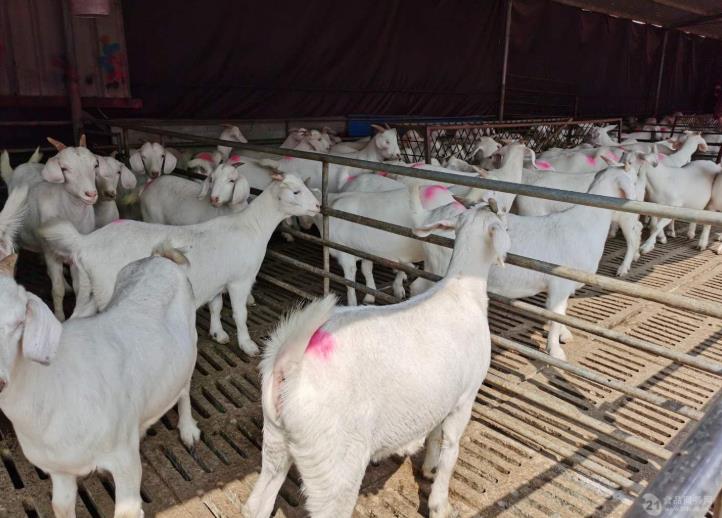 360截图20210506091442208