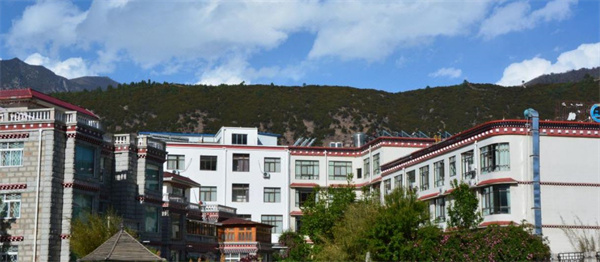 林芝平措康桑藏泊花园酒店