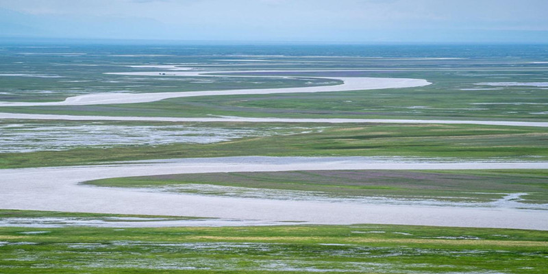 360截图20230405153312898_副本