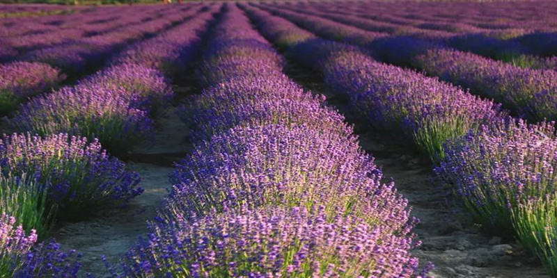 360截图20230405154332428_副本