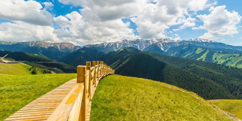 360截图20230405155134315_副本