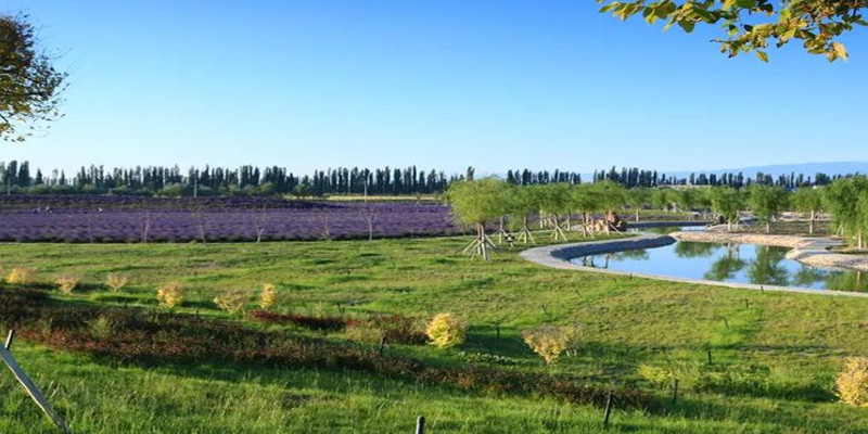 360截图20230405154341922_副本