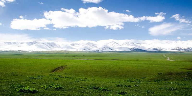 360截图20230405154201256_副本