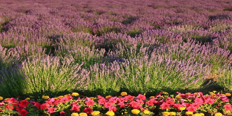 360截图20230405154350607_副本