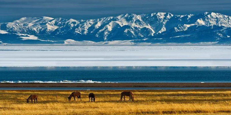 360截图20230405155620139_副本