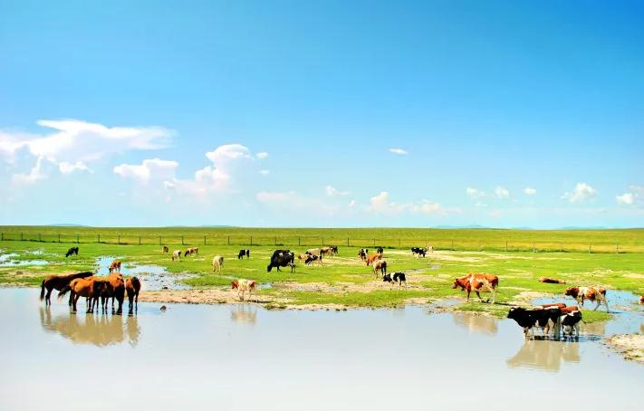 360截图20230421091918542